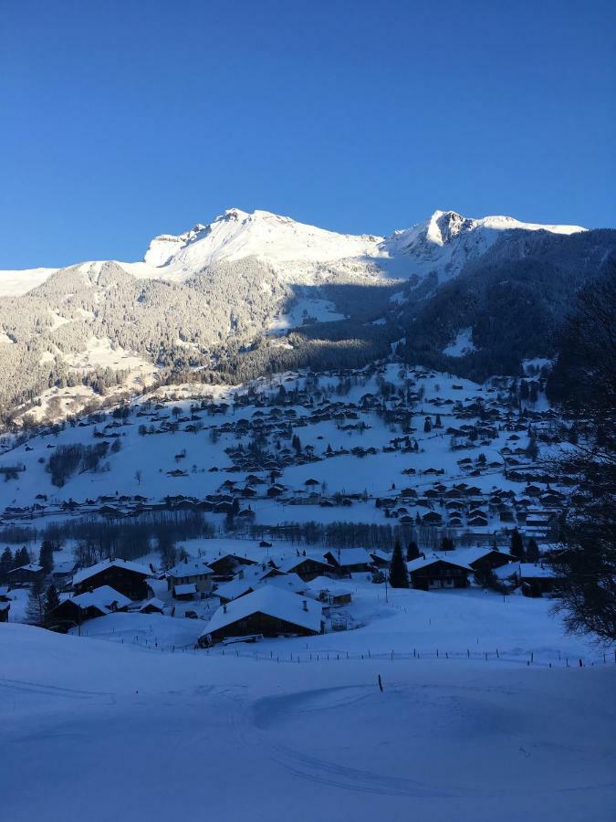 Chalet Studen Grindelwald Exterior foto